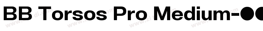 BB Torsos Pro Medium字体转换